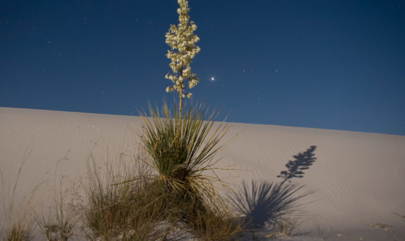 White Sands National Park